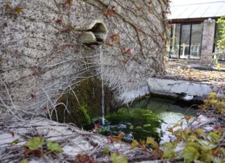 Fonte dell’Vsignolo: armonia nei contrasti fonte dell'vsignolo