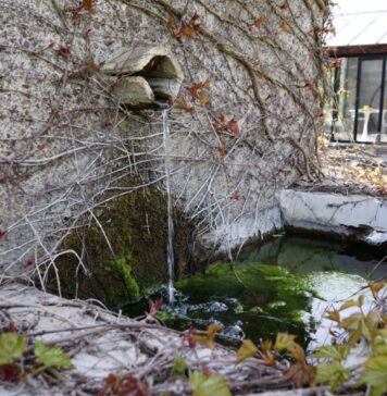 Fonte dell’Vsignolo: armonia nei contrasti fonte dell'vsignolo