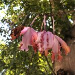 IMG_2561
