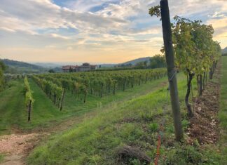 Mete per partenze d’autunno mete