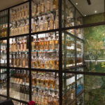 300mila_Lecce_phIleniaTesoro2092