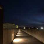 IMG_8911