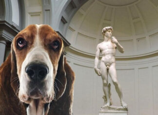 PittiPets a Firenze PittiPets