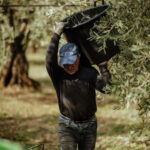 Campagna-17