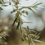 Campagna-38