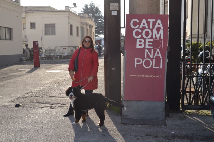 Napoli col cane
