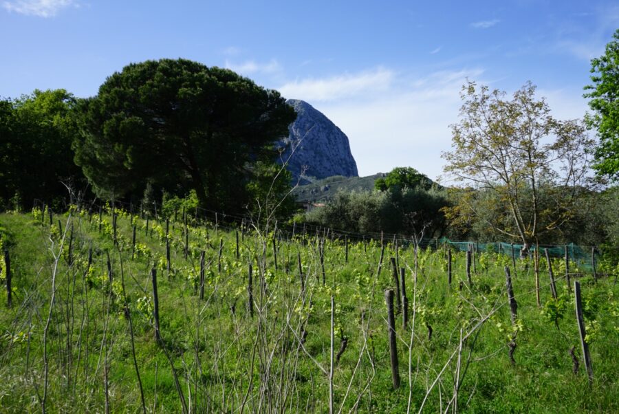 Locanda San Fantino
