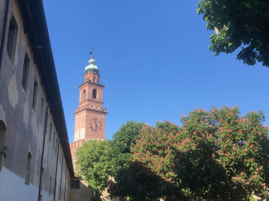 Vigevano