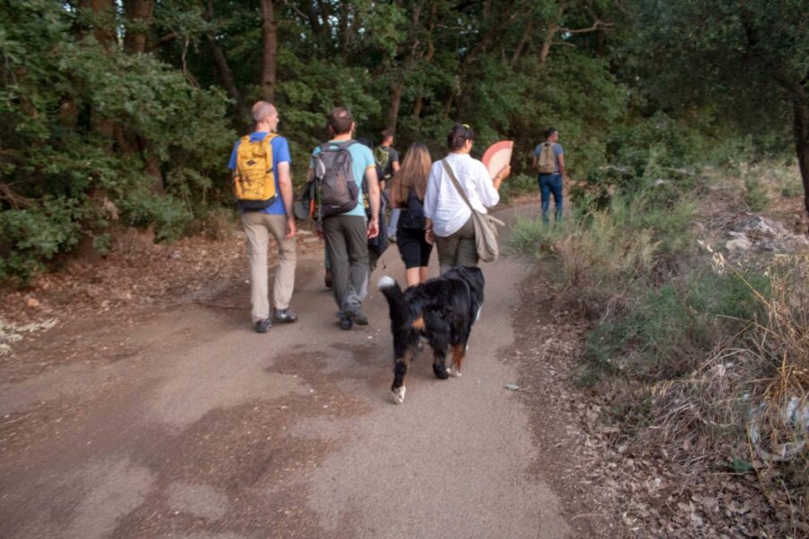 Quasano A Quasano passeggiando nel bosco | CittĂ Meridiane