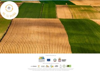 Al via “ME.TA Dauna” per la valorizzazione del territorio ME.TA Dauna