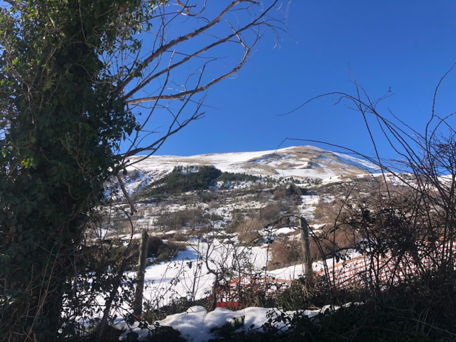 Marche