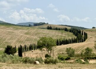 Sotto il sole della Toscana sotto il sole