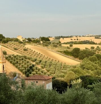 Marche, un mare di morbide colline Marche