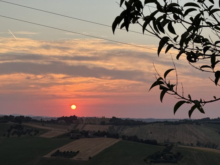 Marche