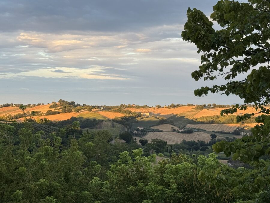 Marche