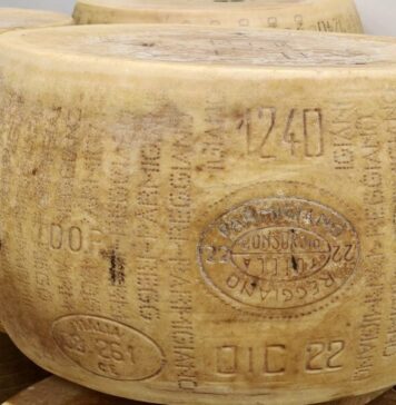 Parmigiano Reggiano, il re dei formaggi Parmigiano Reggiano