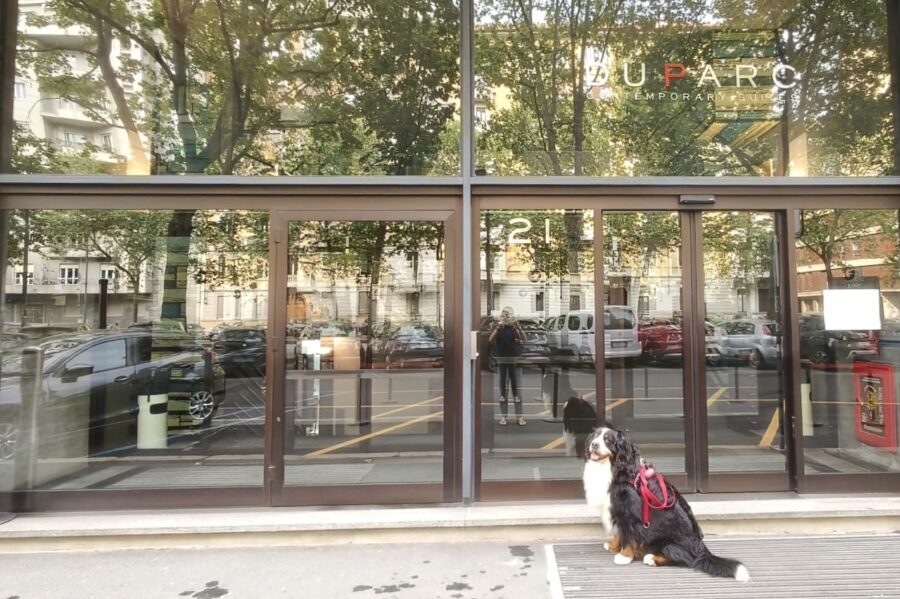 DUPARC Contemporary Suites