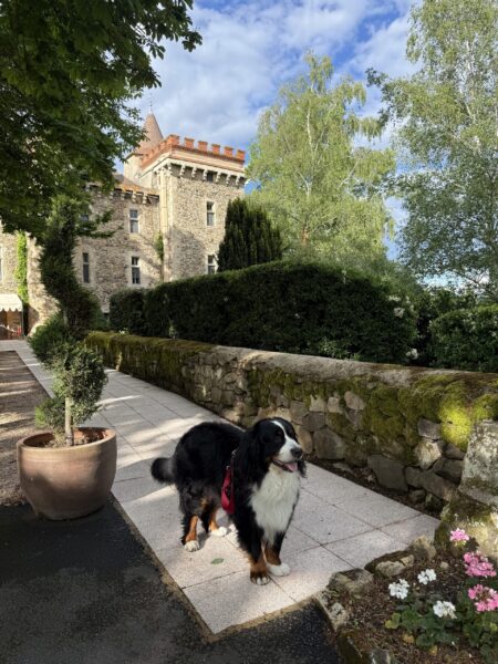 Château de Codignat