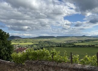 Alvernia terra di vulcani, formaggi e vini Alvernia
