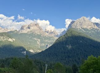 Passeggiate col cane in Trentino passeggiate