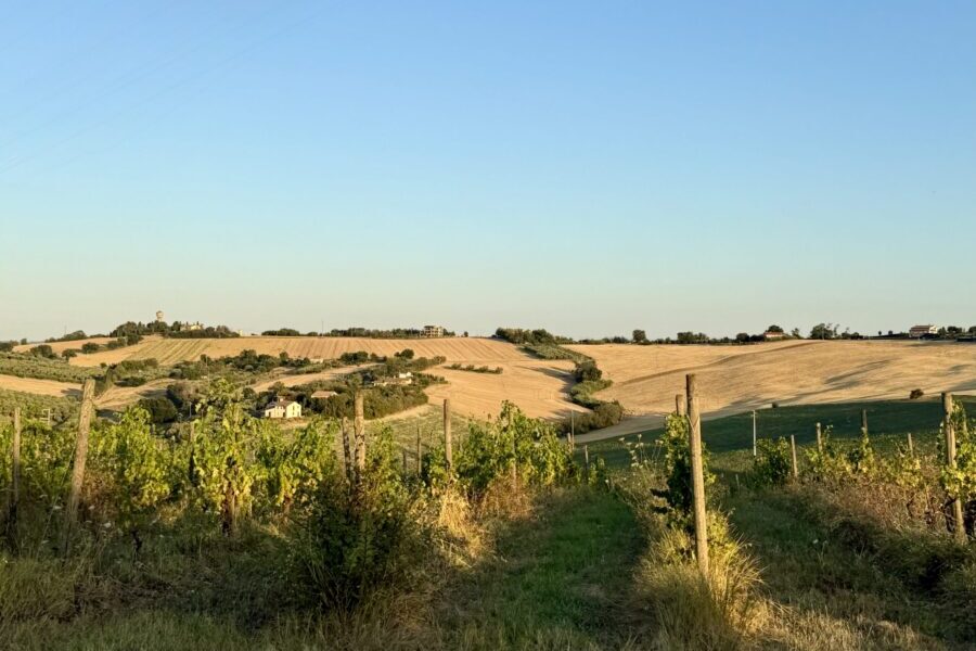 Marche