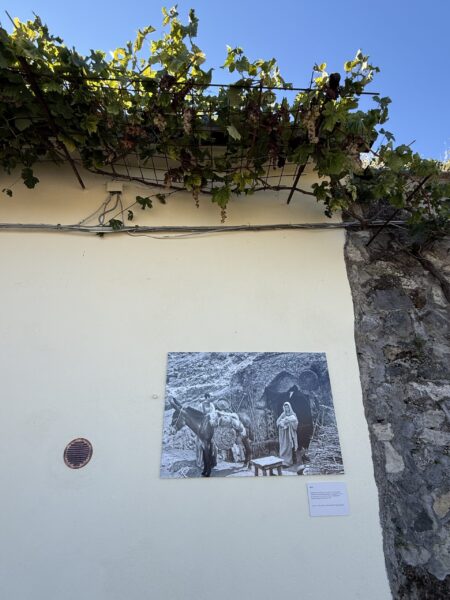 Pasolini